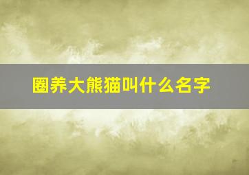 圈养大熊猫叫什么名字