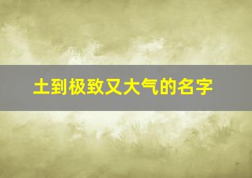 土到极致又大气的名字