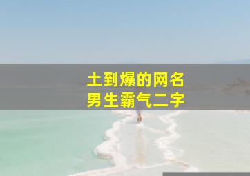 土到爆的网名男生霸气二字