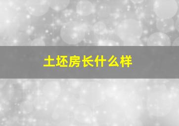 土坯房长什么样