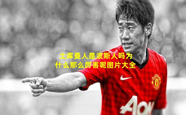 土库曼人是波斯人吗为什么那么厉害呢图片大全