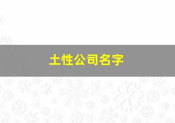 土性公司名字