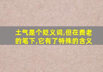 土气是个贬义词,但在费老的笔下,它有了特殊的含义