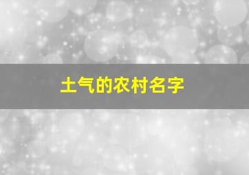 土气的农村名字