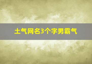 土气网名3个字男霸气