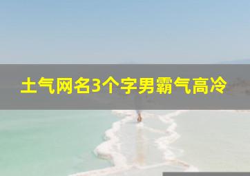 土气网名3个字男霸气高冷