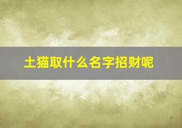 土猫取什么名字招财呢