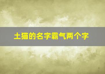 土猫的名字霸气两个字