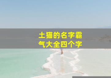 土猫的名字霸气大全四个字