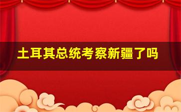 土耳其总统考察新疆了吗