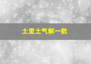 土里土气解一数