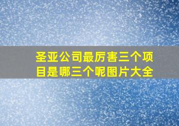 圣亚公司最厉害三个项目是哪三个呢图片大全