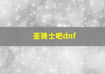 圣骑士吧dnf