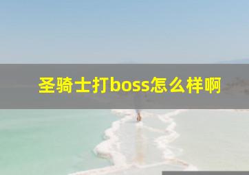 圣骑士打boss怎么样啊