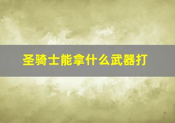 圣骑士能拿什么武器打