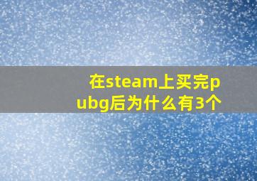 在steam上买完pubg后为什么有3个