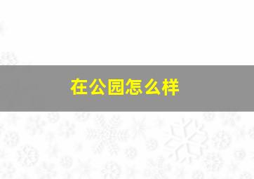 在公园怎么样