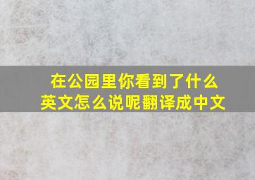 在公园里你看到了什么英文怎么说呢翻译成中文