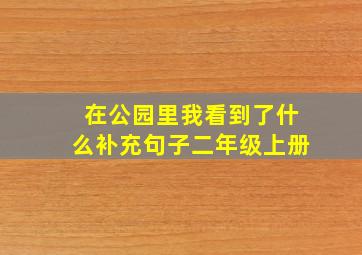 在公园里我看到了什么补充句子二年级上册