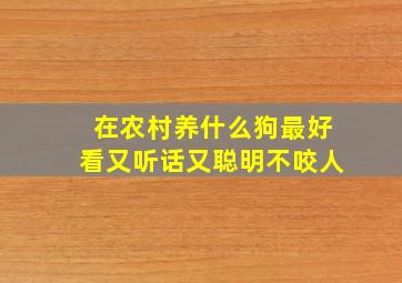 在农村养什么狗最好看又听话又聪明不咬人