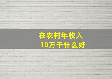 在农村年收入10万干什么好