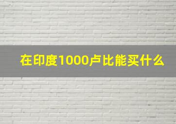 在印度1000卢比能买什么