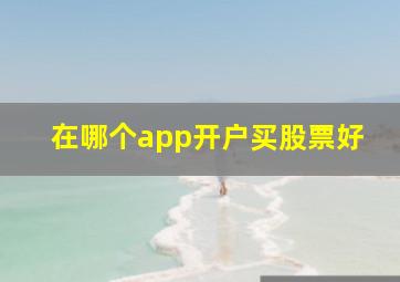 在哪个app开户买股票好