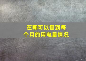 在哪可以查到每个月的用电量情况