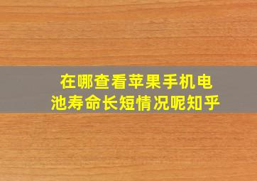 在哪查看苹果手机电池寿命长短情况呢知乎