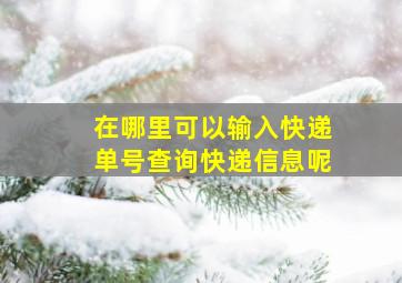 在哪里可以输入快递单号查询快递信息呢