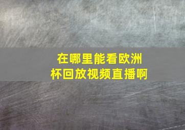 在哪里能看欧洲杯回放视频直播啊