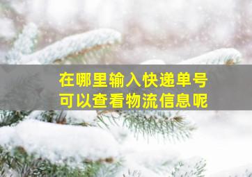 在哪里输入快递单号可以查看物流信息呢