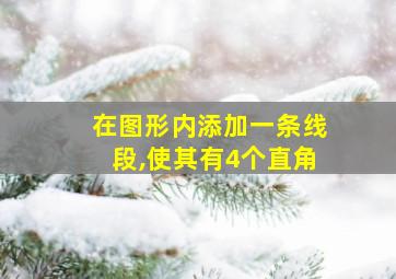 在图形内添加一条线段,使其有4个直角