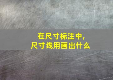 在尺寸标注中,尺寸线用画出什么