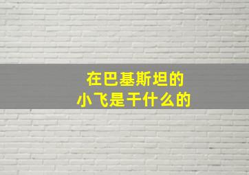 在巴基斯坦的小飞是干什么的