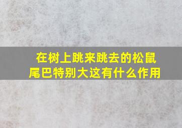 在树上跳来跳去的松鼠尾巴特别大这有什么作用