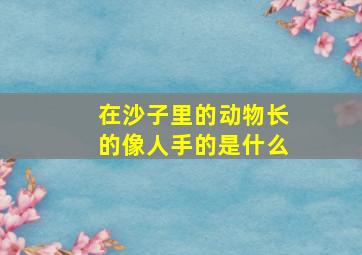 在沙子里的动物长的像人手的是什么