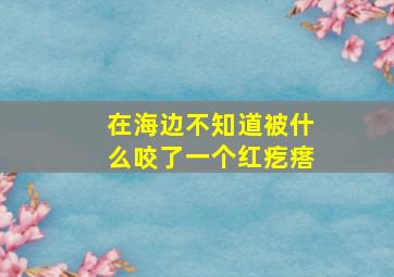 在海边不知道被什么咬了一个红疙瘩