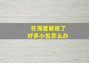 在海里被咬了好多小包怎么办