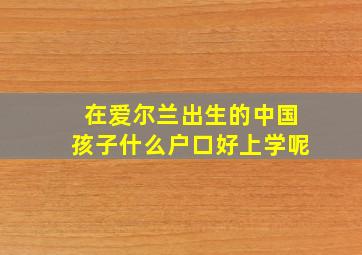 在爱尔兰出生的中国孩子什么户口好上学呢