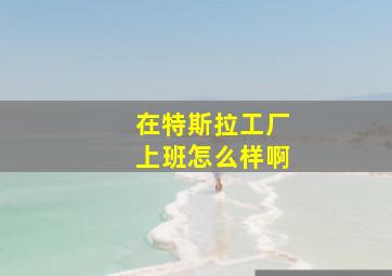 在特斯拉工厂上班怎么样啊