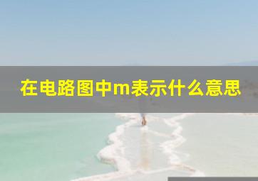 在电路图中m表示什么意思