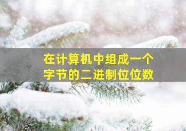 在计算机中组成一个字节的二进制位位数