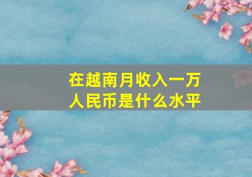 在越南月收入一万人民币是什么水平