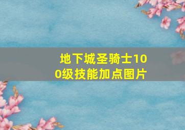 地下城圣骑士100级技能加点图片