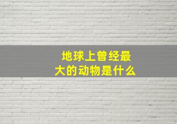 地球上曾经最大的动物是什么