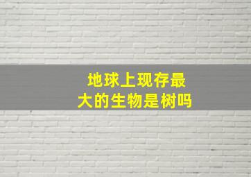 地球上现存最大的生物是树吗