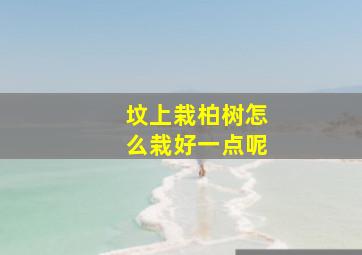 坟上栽柏树怎么栽好一点呢