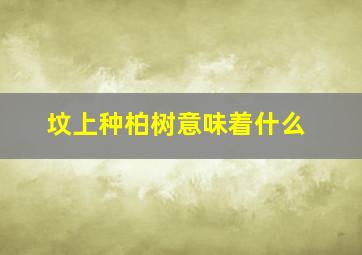 坟上种柏树意味着什么