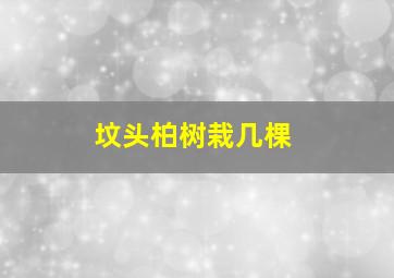 坟头柏树栽几棵